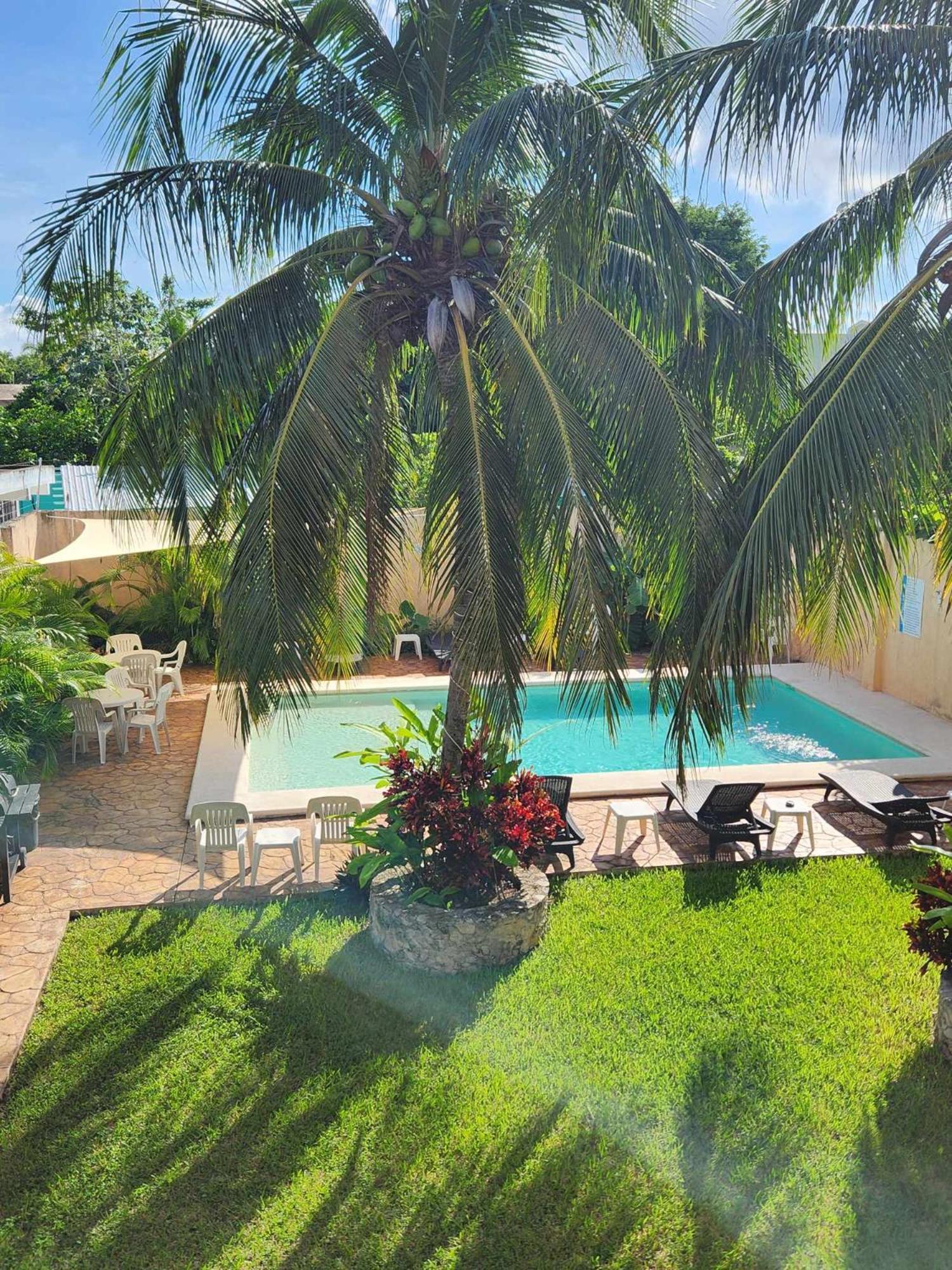 Coral Island Suites Cozumel Dış mekan fotoğraf